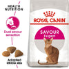 Feline Health Nutrition Exigent Savour