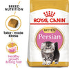 Feline Breed Nutrition Persian Kitten