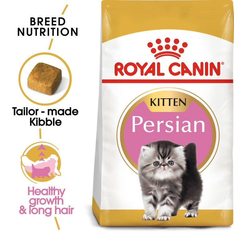 Feline Breed Nutrition Persian Kitten