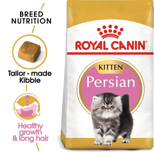 Feline Breed Nutrition Persian Kitten