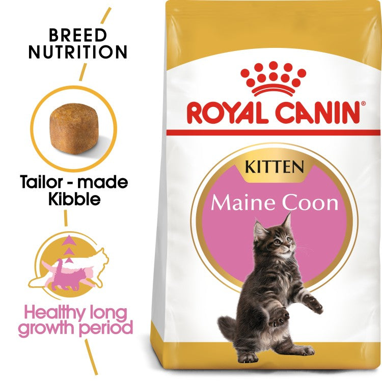 Feline Breed Nutrition Maine Coon