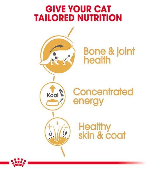 Feline Breed Nutrition Maine Coon (WET FOOD - Pouches) 12 x 85g