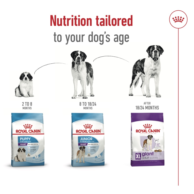 Royal Canin Giant 15Kg