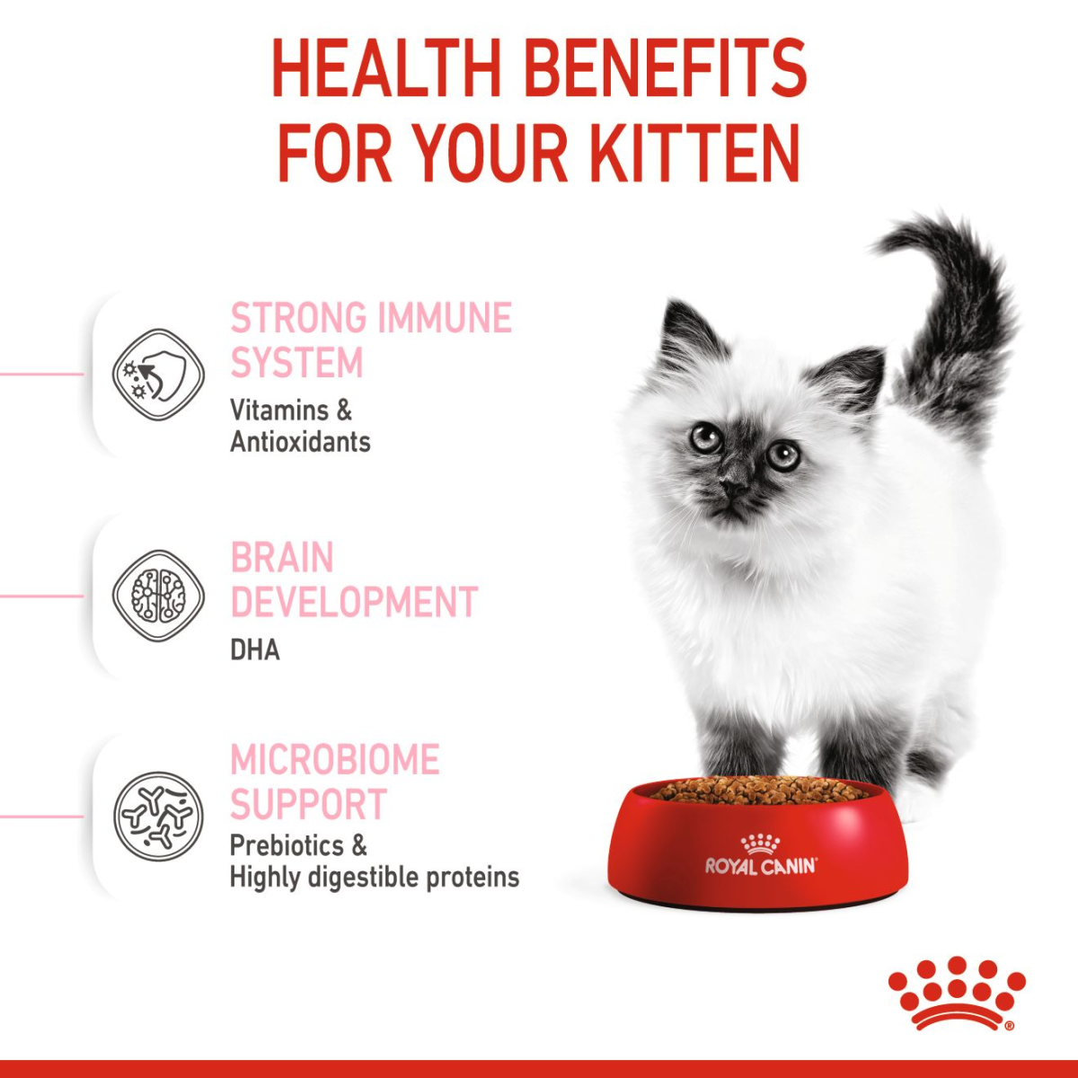 Feline Health Nutrition Kitten