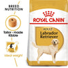 Royal Canin Labrador Retriver