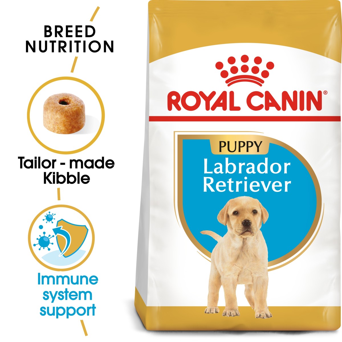 Royal Canin Labrador Retriver