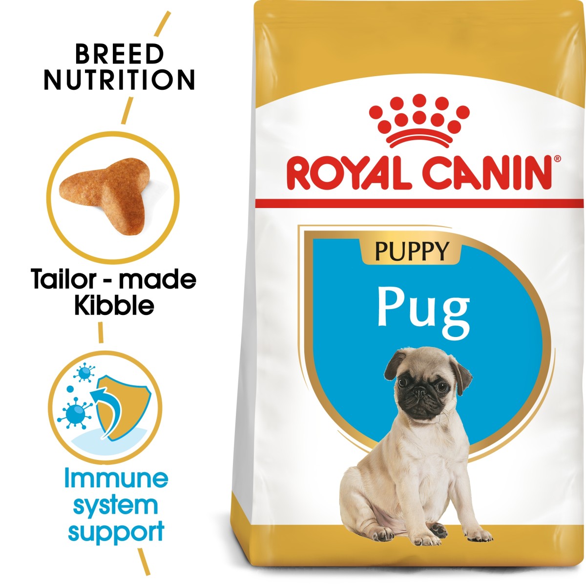 Royal Canin pug
